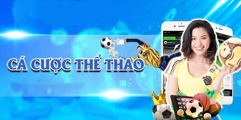 Bí quyết cá cược thể thao Vwin siêu hay cho người mới nhập môn