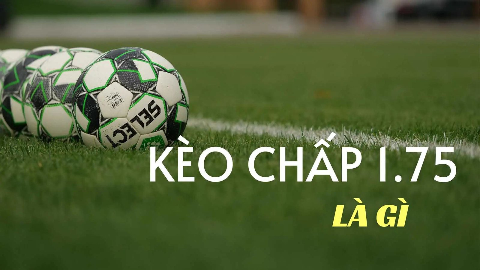 keo chap 175 67bad69d324e3