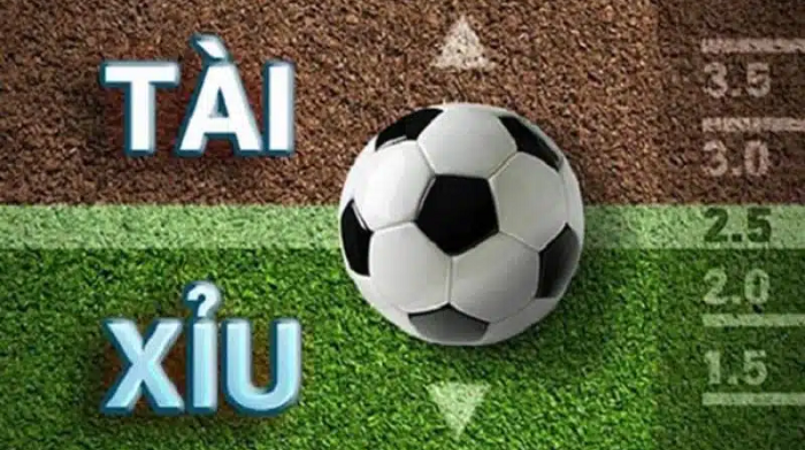 Tìm hiểu kèo tài xỉu 2 1/4: Cược thế nào để không bị 