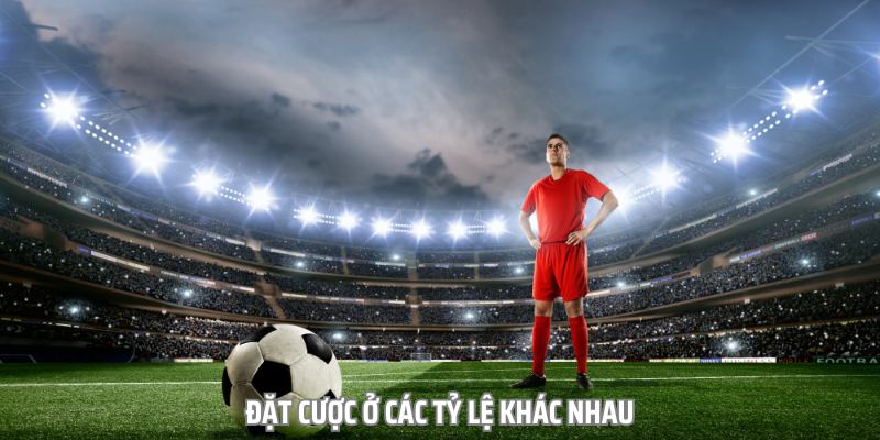 Kinh Nghiệm Cá Cược Kèo Tổng Số Bàn Thắng Bất Bại Cho Newbie