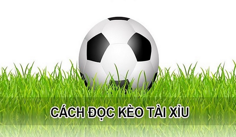 Kèo tài xỉu là gì? Cách chơi kèo tài xỉu đạt hiệu quả tốt … | Flickr