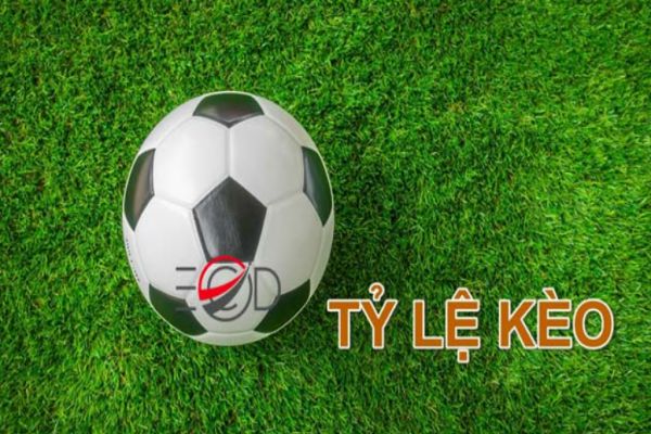 Tỷ lệ cá cược là gì? Cách đọc tỷ lệ cá cược bóng đá chuẩn nhất
